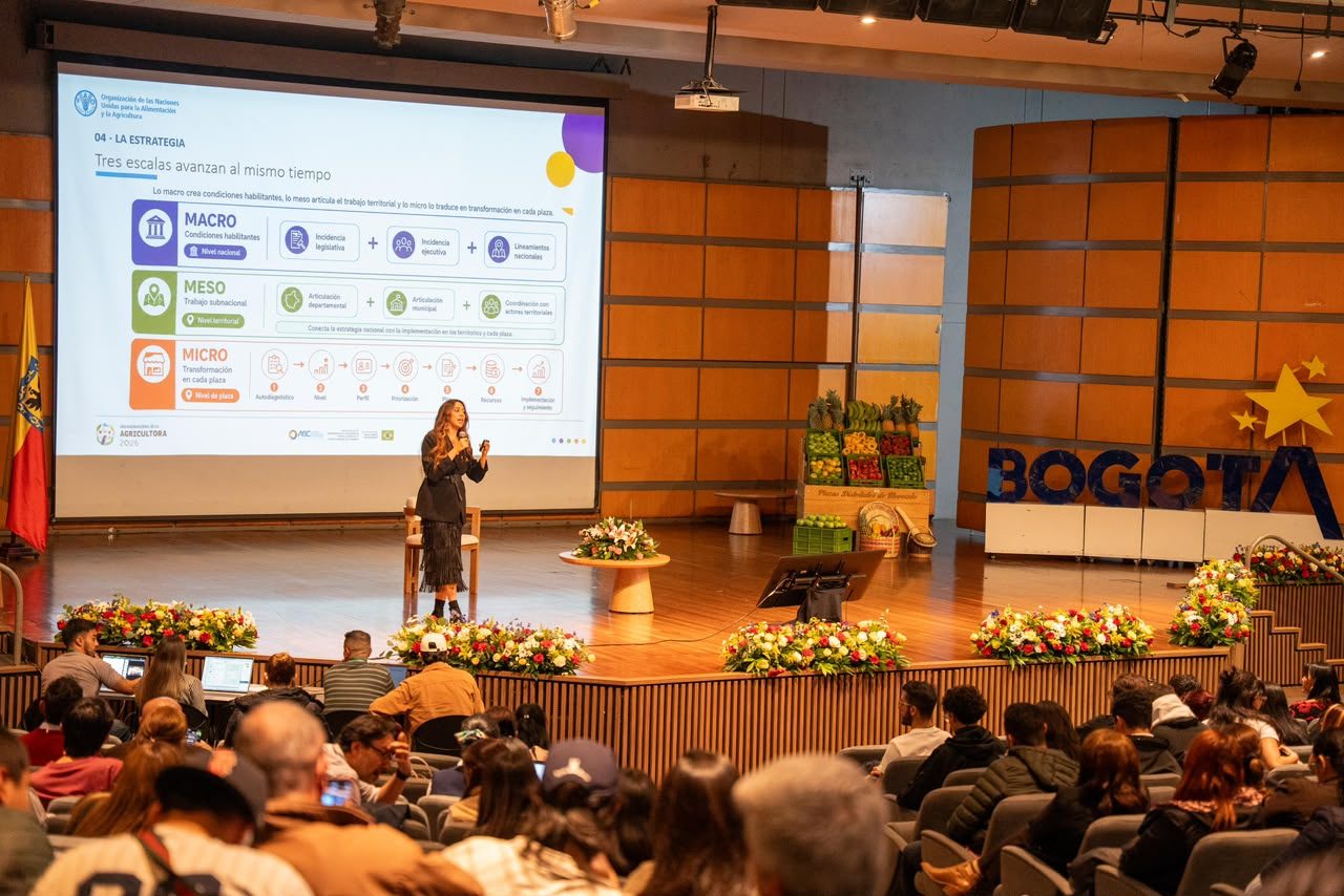 Ponencia de la FAO sobre la estrategia para las plazas de mercado