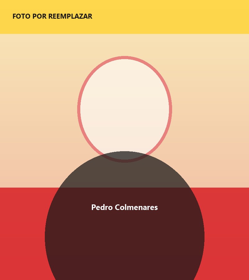 Pedro Colmenares